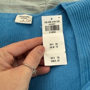 Abercrombie & Fitch Blue V-Neck Sweater